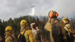 Conaf: 25% de los incendios forestales de esta temporada tienen origen intencional