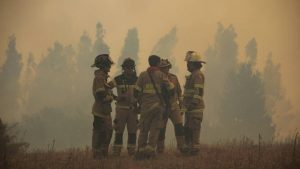 Gobierno confirmó muerte de trabajador forestal en el contexto del combate a los incendios