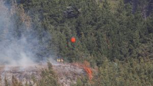 Balance de los incendios forestales:  25 muertos, 51 siniestros en combate y casi 434 mil hectáreas quemadas