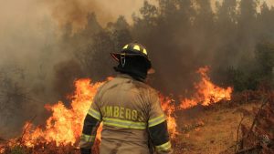 Municipios piden fondo especial para comunas afectadas por los incendios: 
