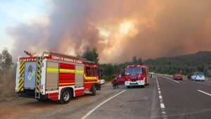 Balance de los incendios forestales: reportan 284 focos activos, 66 en combate y 450 mil hectáreas destruidas