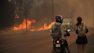 Debate por origen de incendios: Conaf afirma que un 41% de los ocurridos en Biobío y La Araucanía son intencionales