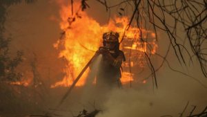 Balance de los incendios forestales: reportan 302 focos activos, 38 en combate y 7.526 damnificados