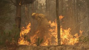 Balance de los incendios forestales: reportan 33 focos en combate y 48 detenidos