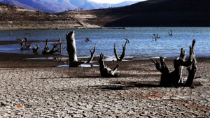 Los acuerdos de la Conferencia  de las Naciones Unidas sobre el Agua 2023