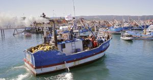 La industria pesquera se bate ante la nueva ola legislativa