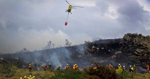 Gobierno aplicará el 