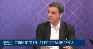 Bacigalupo ley actual