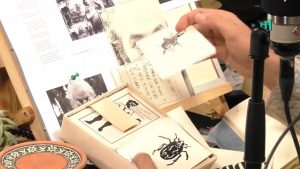 El Traficante de Libros y la posición política de Nicanor Parra