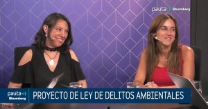 PAUTA Bloomberg | Delitos ambientales