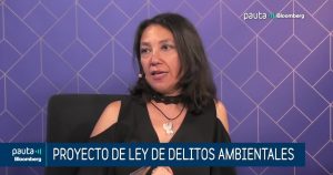 PAUTA Bloomberg | Macarena Lobos SMA