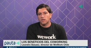 PAUTA Bloomberg Basaez Expansión