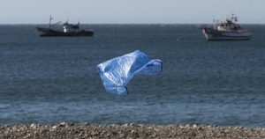 La vida después de la prohibición de las bolsas plásticas