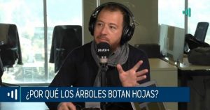 ¿Por qué las hojas de los árboles cambian de color en otoño?