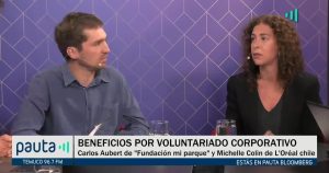 PAUTA Bloomberg Colin Beneficios