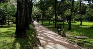 Parques urbanos: la desigual distribución de áreas verdes en Chile