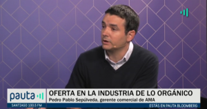 PAUTA Bloomberg Sepúlveda Homologación