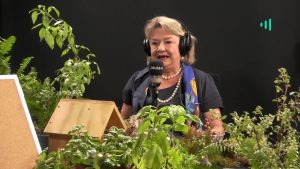 Desde el Jardìn | Entrevista a Lucía Santa Cruz: brexit