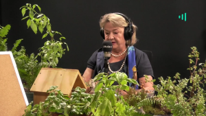 Desde el Jardìn | Entrevista a Lucía Santa Cruz: Convicción en la derecha