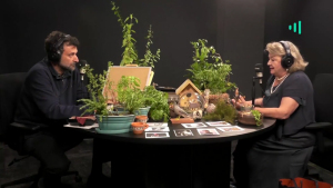 Desde el Jardìn | Entrevista a Lucía Santa Cruz: Humanidades