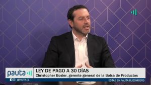 PAUTA Bloomberg Christopher Bosler tiempos plazos