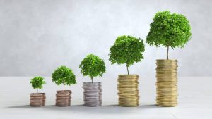 Finanzas sostenibles: el aporte del sector financiero a la batalla contra el cambio climático