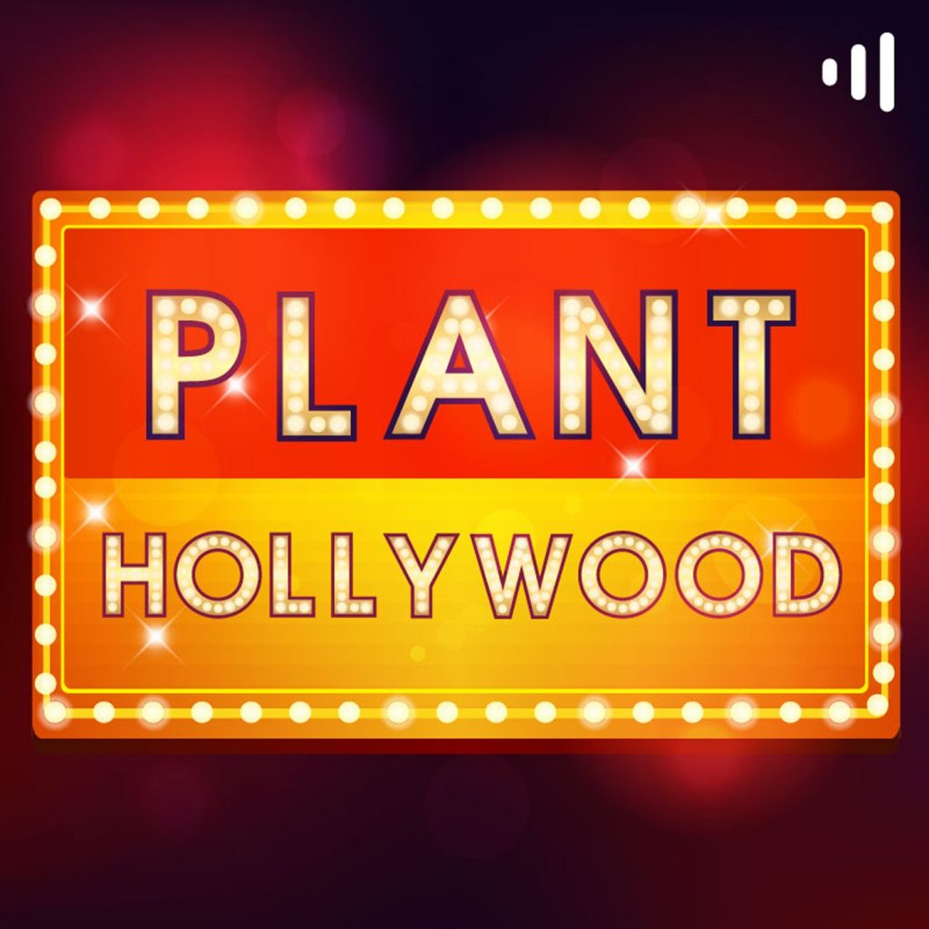 Plant Hollywood