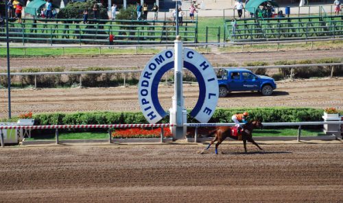 Hipódromo Chile: ¿Cómo apostar en las carreras de caballos?