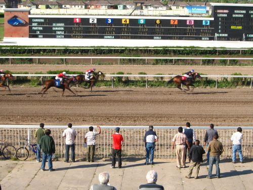 Hipódromo Chile: ¿Cuánto vale apostar en las carreras de caballos?