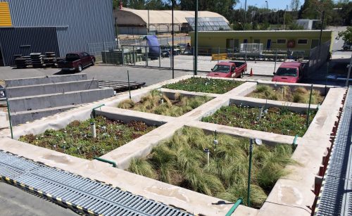 Los techos y muros vegetativos protegerían a las ciudades de inundaciones, según estudio