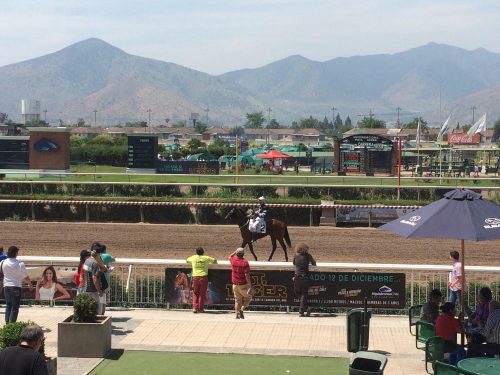 Hipódromo Chile: ¿Qué es el St. Leger y cuál es su historia?