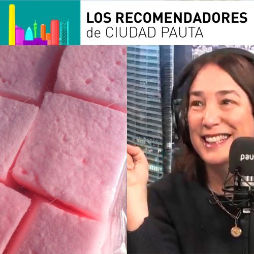 Carolina Díaz: la ruta para encontrar las mejores sustancias y guagüitas de Santiago