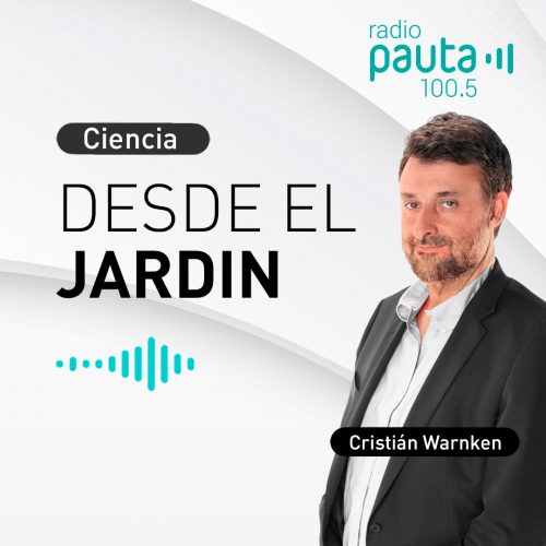 Cristián Warnken conversa con Álvaro Fischer sobre el viaje de Darwin