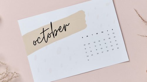 ¿Cuáles son los feriados del mes de octubre de 2023?