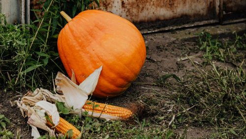 ¿Por qué Halloween se celebra el 31 de octubre?