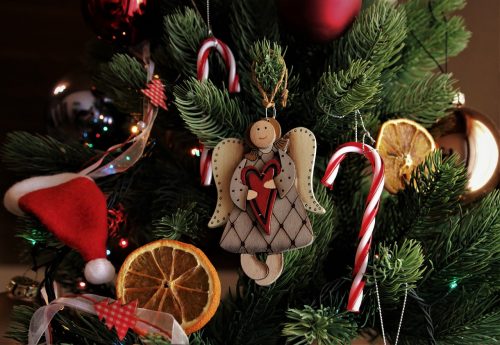 Se acerca la Navidad y uno de los símbolos más característicos de esta fecha es el pino navideño