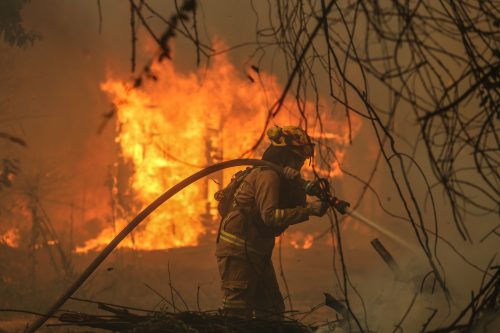 ¿Estamos mejor preparados para enfrentar incendios forestales? Las claves para reducir el riesgo a largo plazo