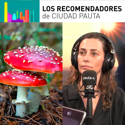 Conociendo el mundo fungi con Javiera Díaz de Valdés