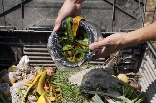 Cheaf App: una aplicación que llega desde México a Chile para combatir el desperdicio de alimentos