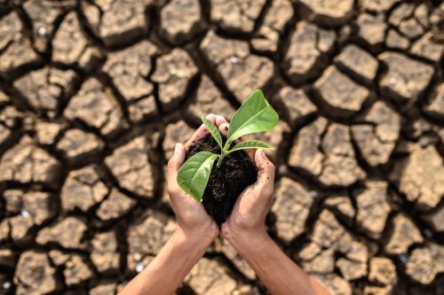 Lo que logró la agenda de agricultura sostenible en la COP28