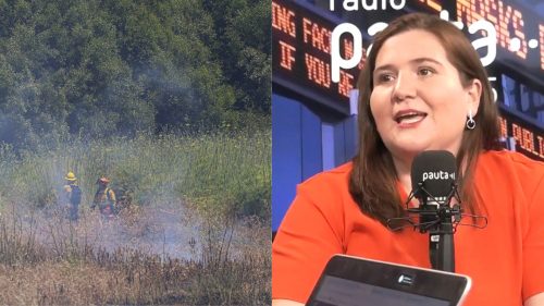 La innovadora función de la IA: ayudar a prevenir los incendios forestales