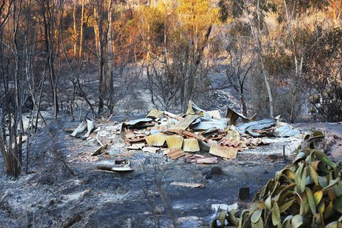 Fiscal de Valparaíso descarta que existan personas detenidas por sospecha de inicio de focos de los incendios