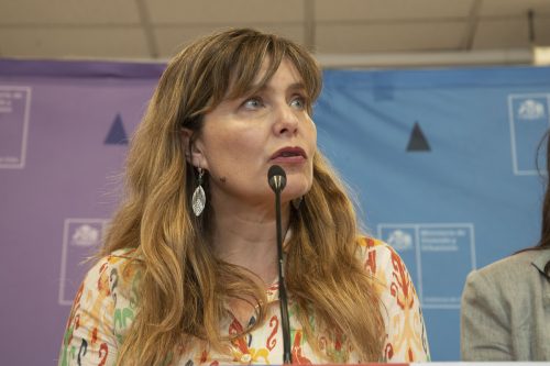 Ministra (s) de Vivienda y proyecto que subsidia los créditos hipotecarios: "Se van a disponibilizar 50.000 nuevos subsidios"