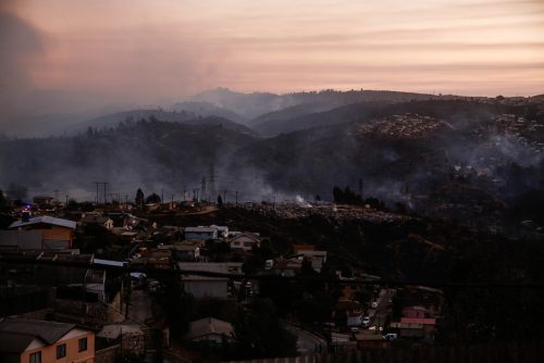 El proceso de sanación del suelo tras los incendios en Valparaíso