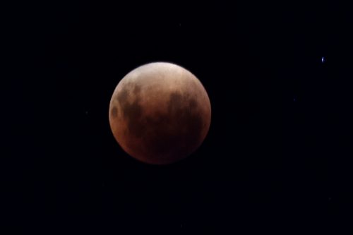Primer eclipse lunar de 2024: conoce cuándo será y si se verá en Chile