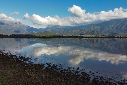 Laguna Aculeo: las razones para su recuperación y protección