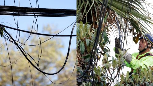 "La ciudad no es el mejor hábitat natural de un árbol": 85% del alumbrado público en Santiago es de cableado aéreo