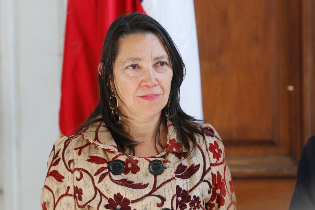 Ley corta: subsecretaria Lobos hace llamado a la "responsabilidad" de los parlamentarios oficialistas en la previa de la votación en Sala