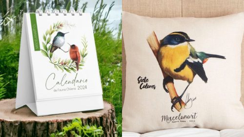 "Creamos productos de uso cotidiano que son prácticos y duraderos": Miscelanart, la iniciativa que busca acercar la flora y la fauna