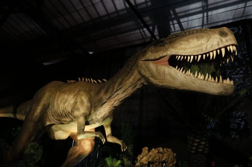 Expo Dinosaurios Santiago: descubre los detalles de este panorama ideal para el invierno